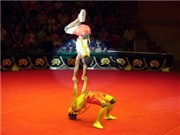 Bóng đá anh, ngoại hạng anh, lịch thi đấu euro 2012, Xiếc Việt Nam đoạt Giải thưởng lớn ở Circuba 2011